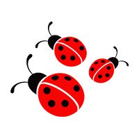 Guide des Vins en Biodynamie