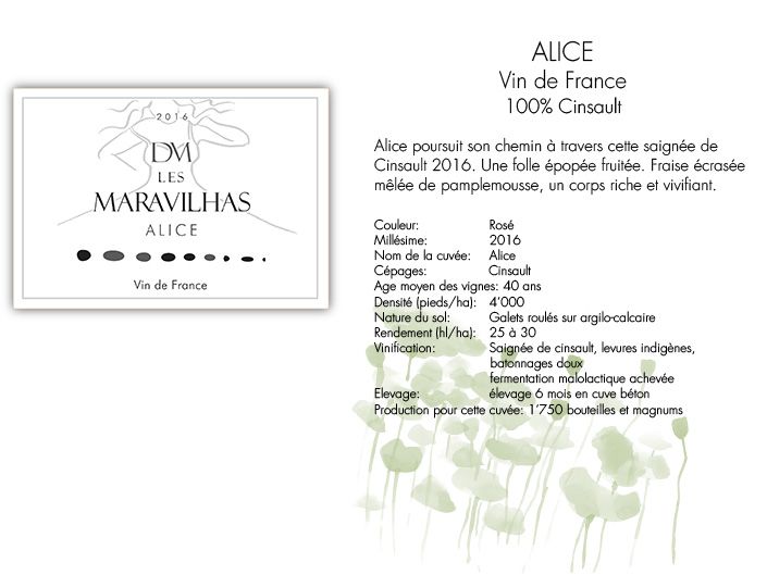 Alice